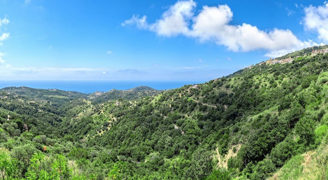 Borghi, spiagge, parchi, buona cucina: 20 luoghi da non perdere lungo l’autostrada Salerno-Reggio Calabria