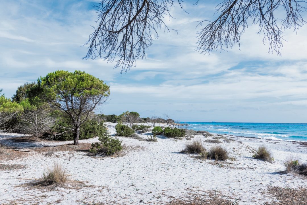  Sardegna: lo spettacolo della costa nord est della Baronia