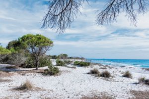 Sardegna, spiagge selvagge e ritmi lenti: lo spettacolo della costa nord est della Baronia