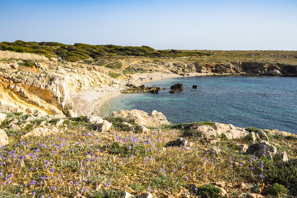 Favignana spiagge