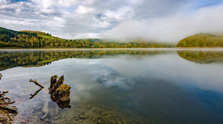 Foto Sentieri, castelli, foreste: alla scoperta delle Ardenne Lussemburghesi, tra natura e cultura