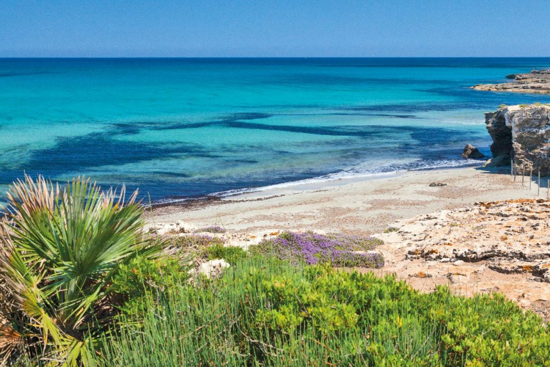 Le spiagge più belle della Sicilia sud est sudorientale - Oasi di Vendicari