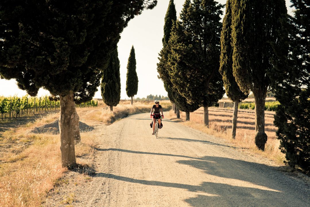 In bici sulle strade bianche del Chianti