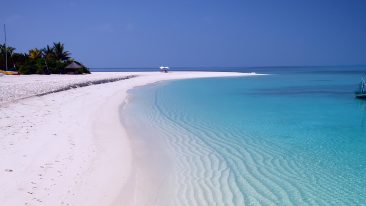 Dove Summer 2022 Maldive