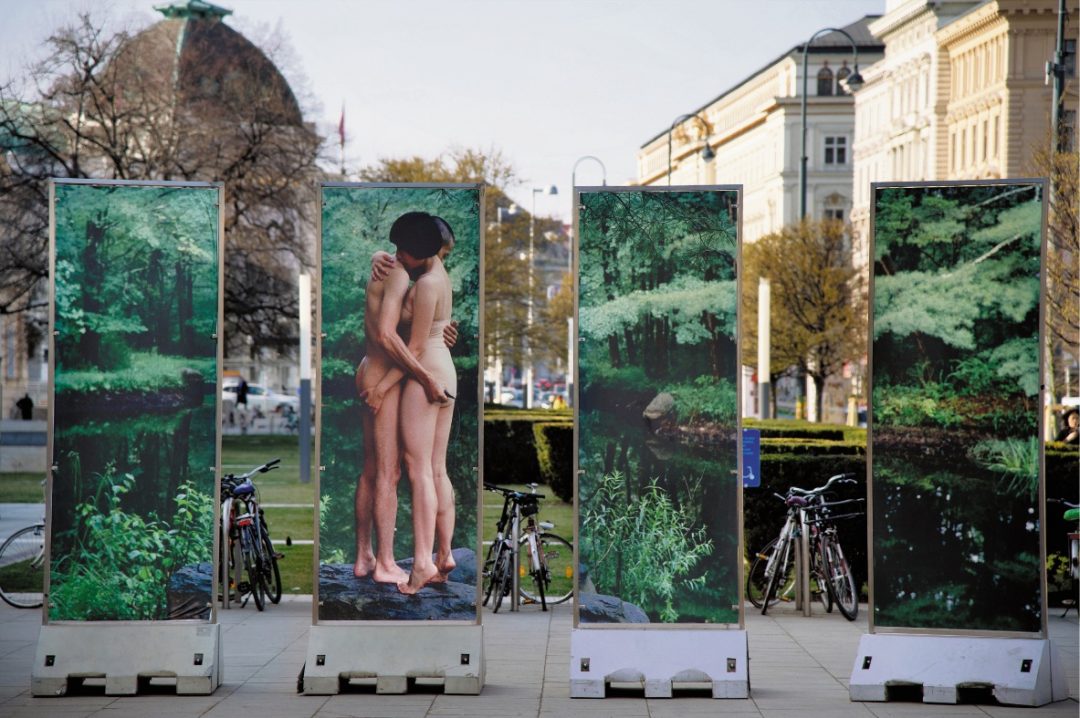 Cosa vedere a Vienna: parchi, nuovi quartieri, indirizzi 