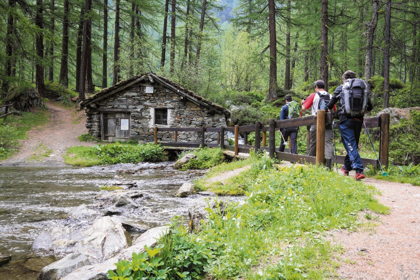 Valle d’Aosta: sul Gran Paradiso, nelle aree selvagge del Parco nazionale più antico d’Italia