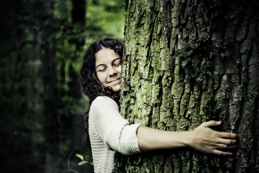 Abbracciare gli alberi o Tree Hugging