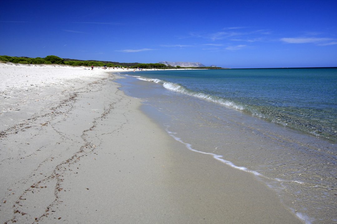 Sardegna: vacanze nel verde a due passi dal mare blu. Le foto