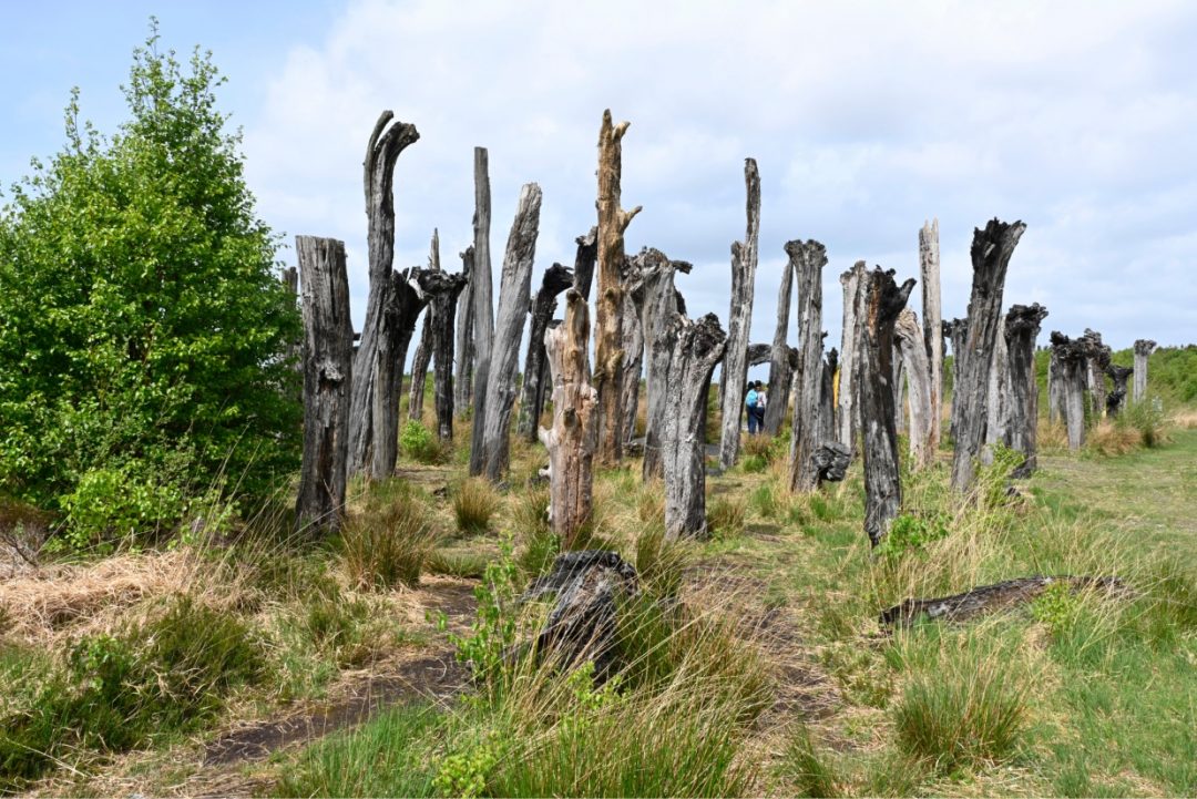 Irlanda, i gioielli della contea: castelli, giardini, abbazie