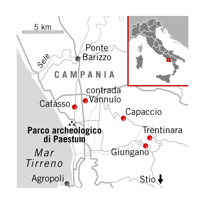 Cosa fare e cosa vedere a Paestum