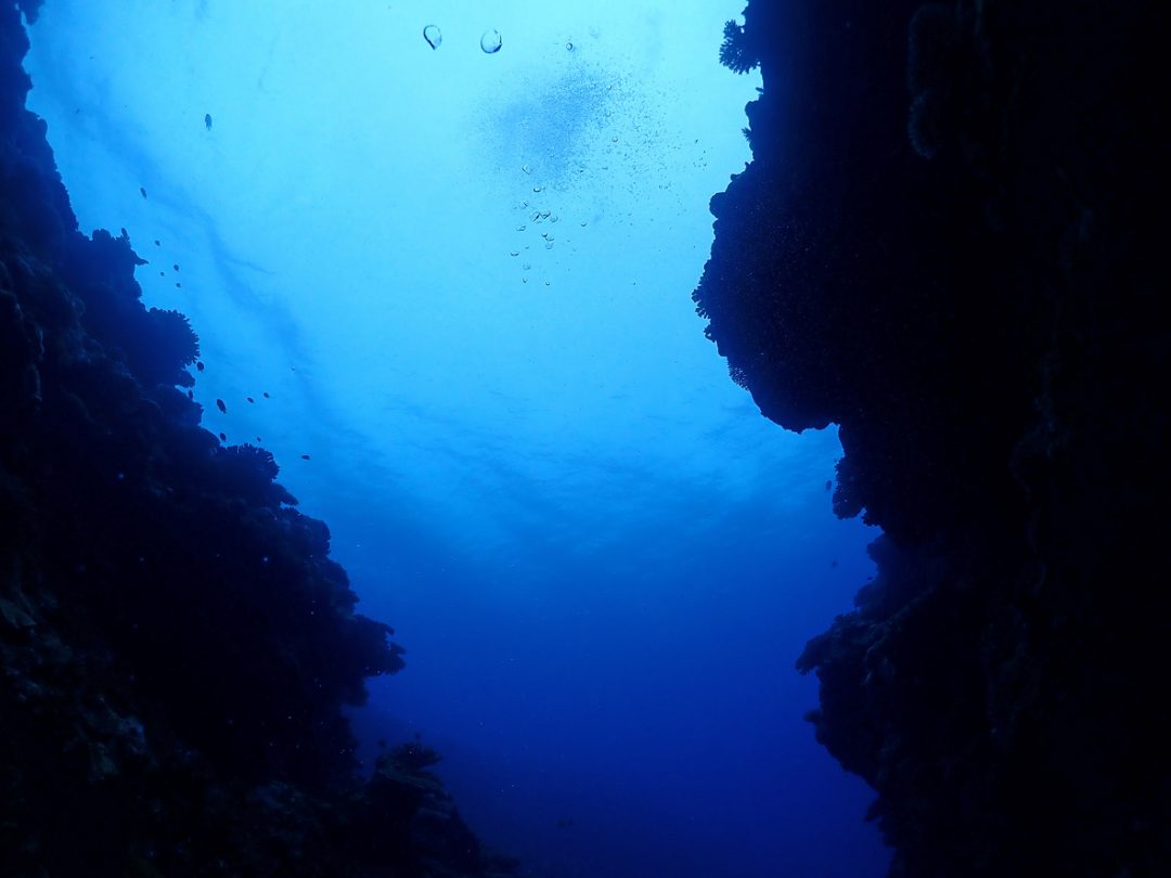 Fossa delle Marianne: profondità e dove si trova