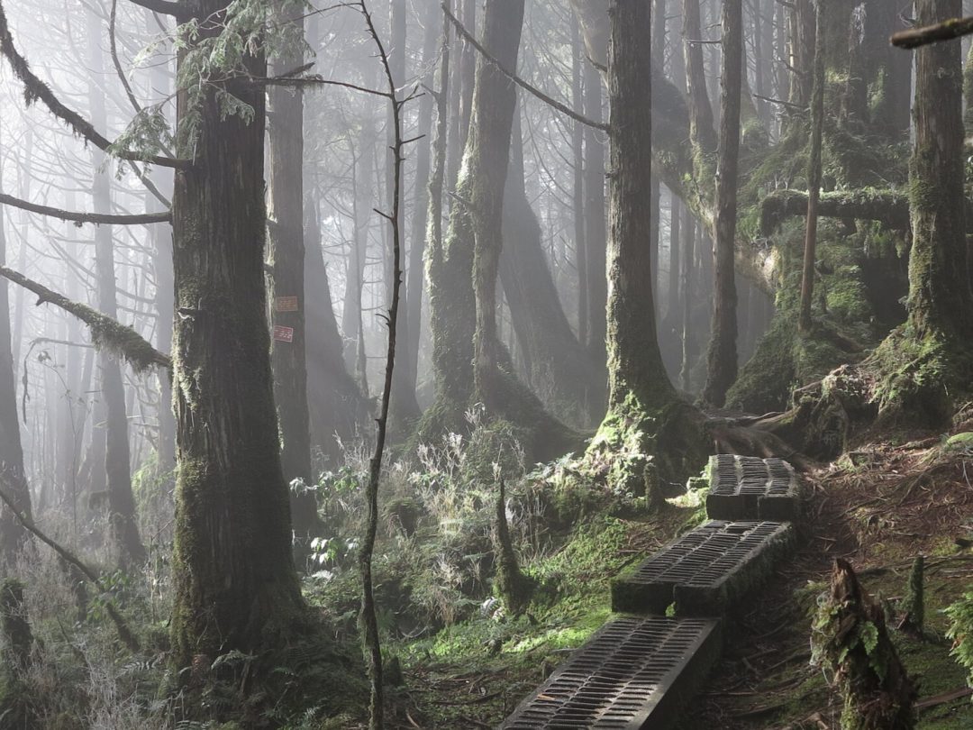 Il primo Quiet Trail al mondo, dove i rumori sono vietati