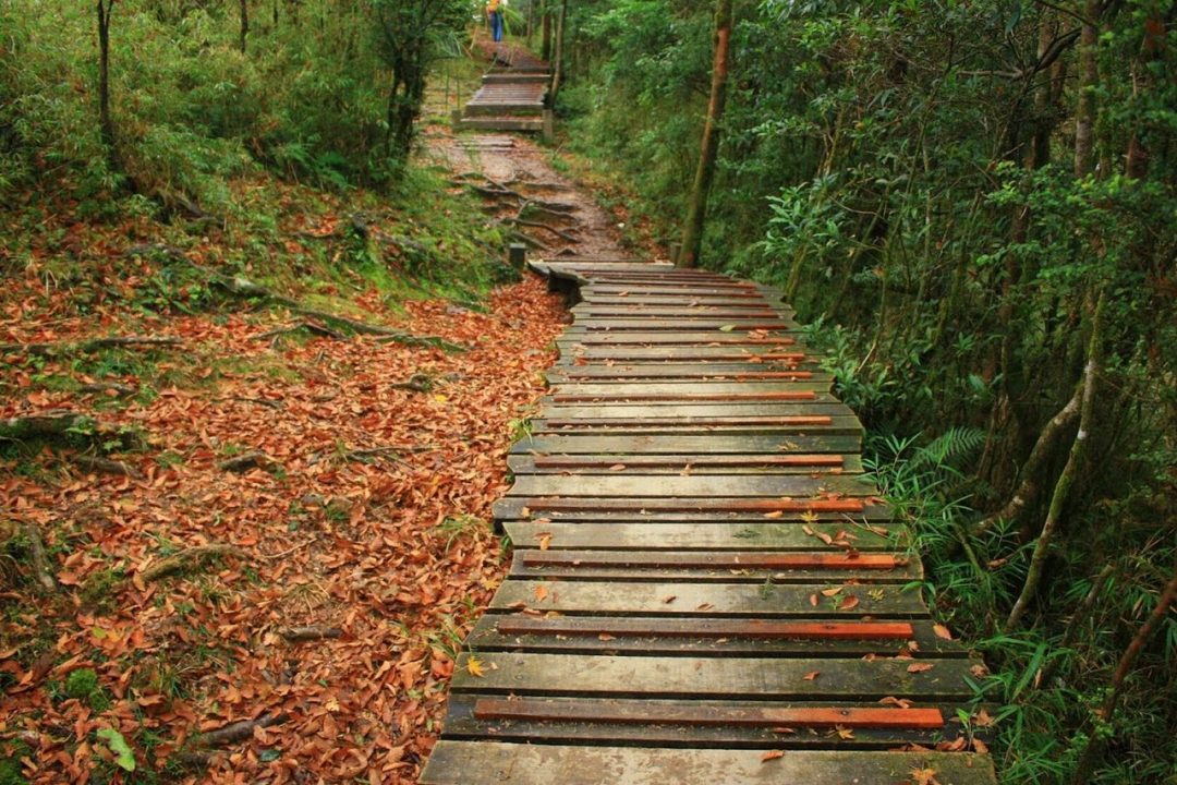 Ecco il cammino dove è vietato parlare: a Taiwan il primo sentiero escursionistico silenzioso