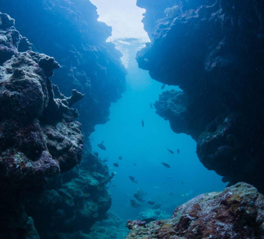 Dove fare diving in Italia: Grotte dell'Acqua Dolce, Messina