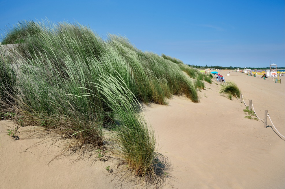 Cavallino Treporti: spiagge e dune 