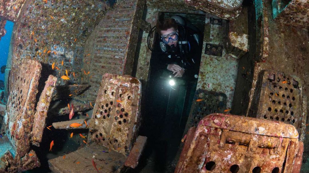Mar Rosso: l’aereo sui fondali è un’attrazione per i sub (e una casa per pesci e coralli)