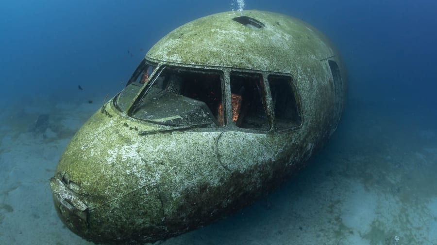 Mar Rosso: l’aereo sui fondali è un’attrazione per i sub (e una casa per pesci e coralli)