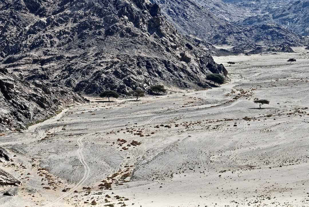 Wadi el Gemal: tra il Mar Rosso e il deserto degli Ababda, un paradiso ecosostenibile ed active