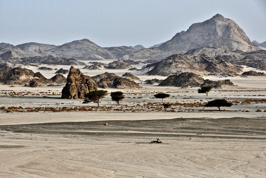 Wadi el Gemal: tra il Mar Rosso e il deserto degli Ababda, un paradiso ecosostenibile ed active