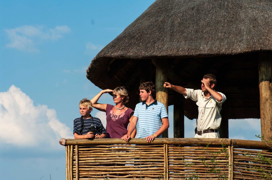 Viaggi ecosostenibili: i nuovi safari in Sudafrica