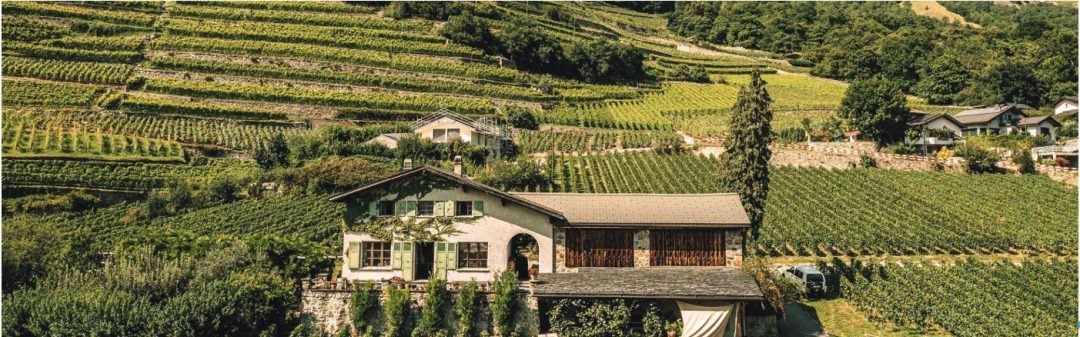 Nel cantone Vallese, in Svizzera,  tra vini eroici, degustazioni in mountain bike e maratone gourmand