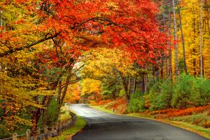 Foliage: tutta la magia dell'autunno in 30 luoghi