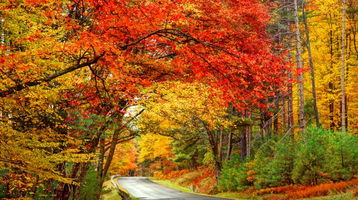 Foto Foliage: tutta la magia dell'autunno in 30 luoghi