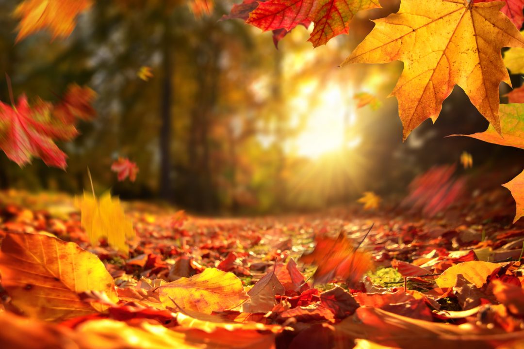 Perché la data dell'equinozio d'autunno può cambiare da un anno all'altro?