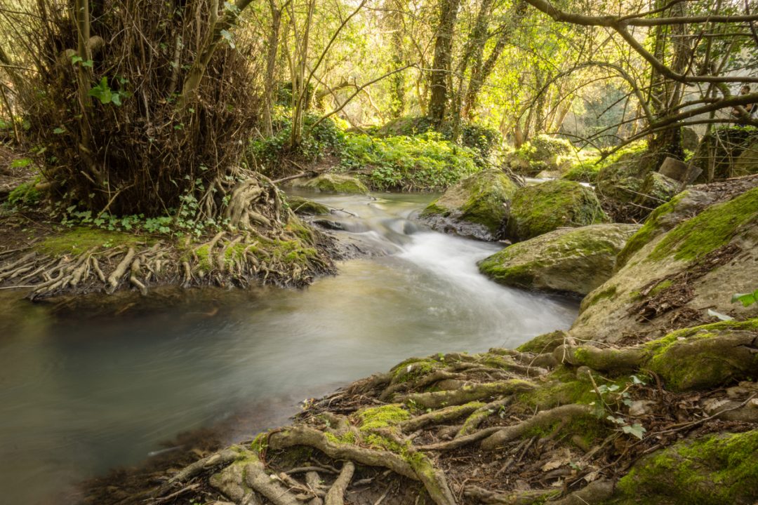 Fiume Treja, Viterbo