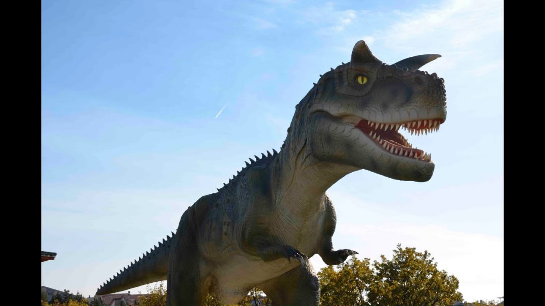 Puglia: Museo Paleontologico dei Dinosauri
