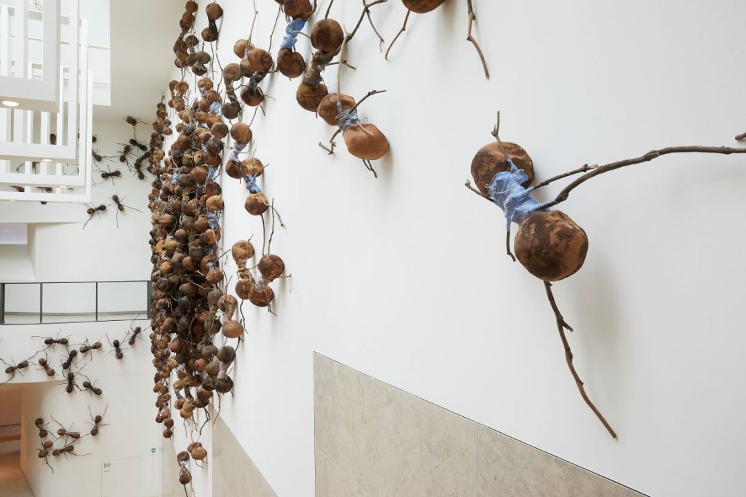 Le formiche giganti di Rafael Gómezbarros al Rijksmuseum Amsterdam