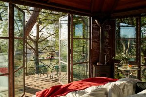 Weekend nella casa sull'albero o in grotta? Airbnb lancia le categorie per vacanze insolite e green
