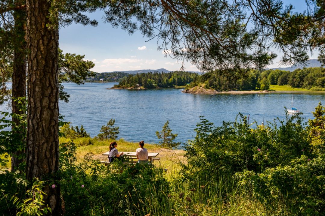 Oslofjord e parco dell’Henie Onstad Kunstsenter