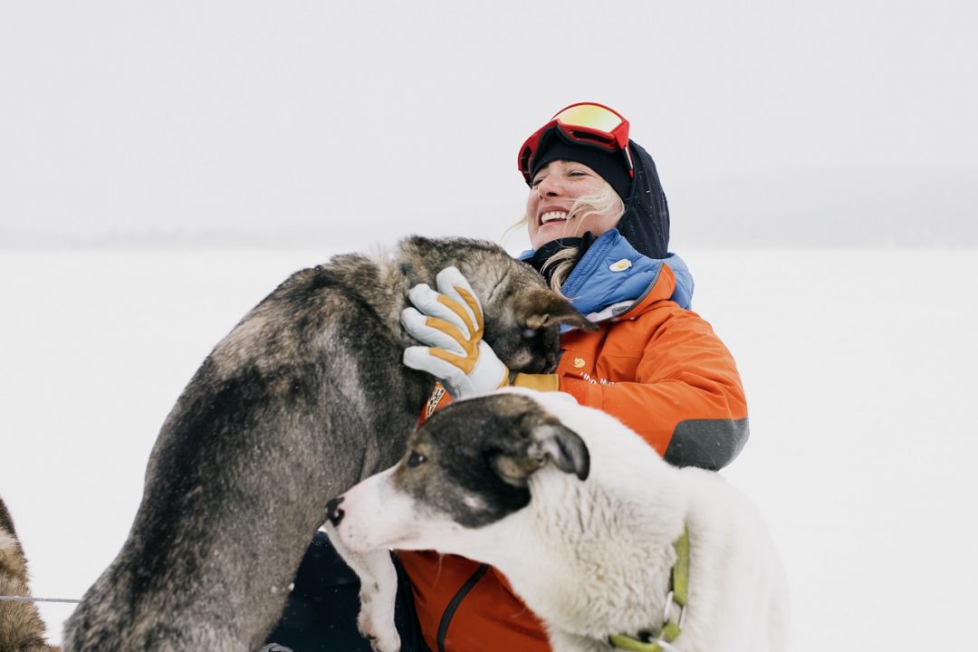 cani da slitta Circolo Polare Artico  