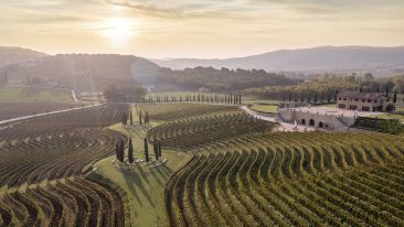 Castello di Solomeo: il vino di Brunello Cucinelli