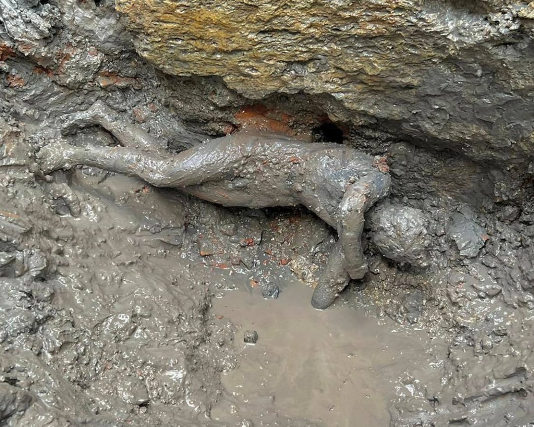 San Casciano dei Bagni: Una delle 24 statue ritrovate, ancora nel fango