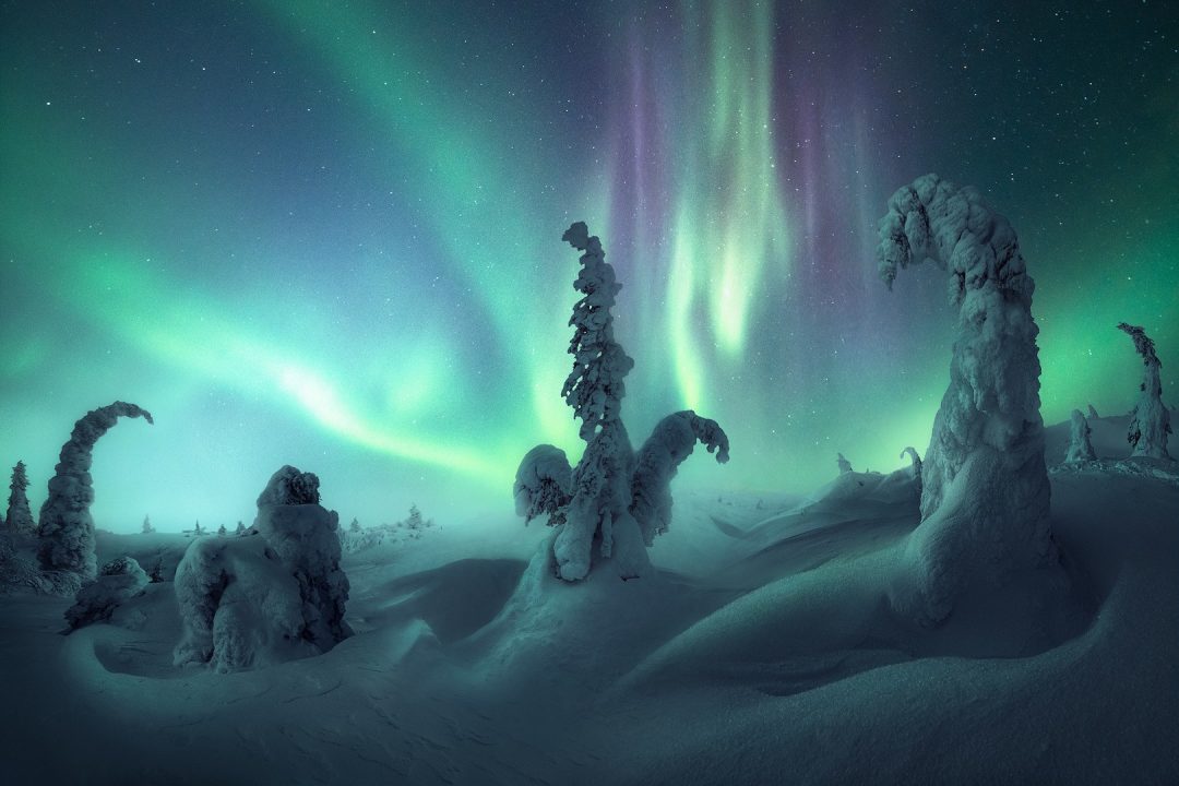L'aurora boreale: ecco gli scatti più belli