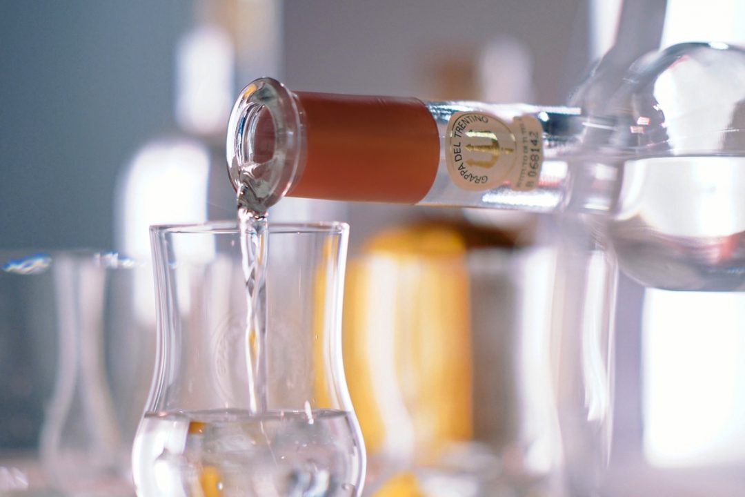 Grappa del Trentino, dietro le quinte di un’eccellenza made in Italy