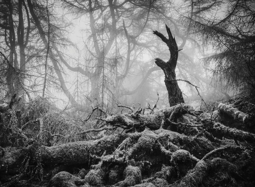 Great Mell Fell, Lake District, Inghilterra