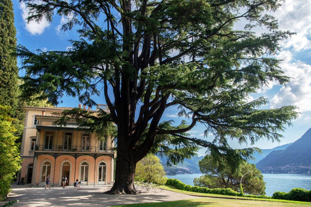 Caccia al tesoro botanico 2023 Grandi Giardini Italiani