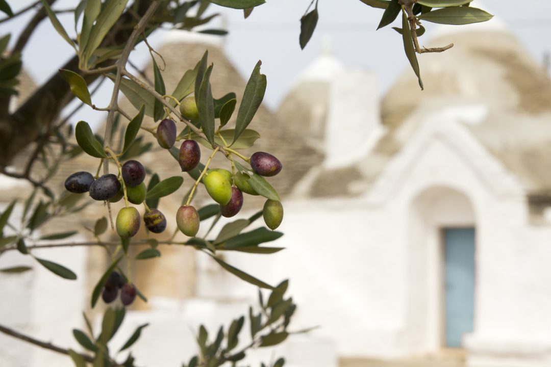 I 20 borghi più belli della Puglia