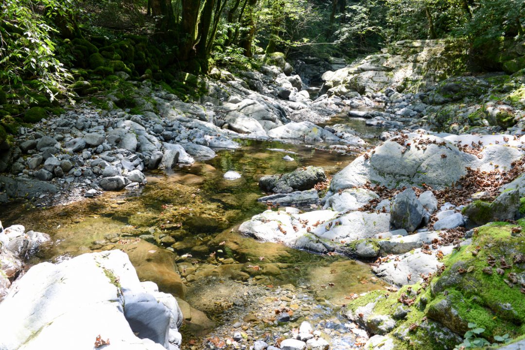 Sentiero dell'acqua, Parco Sorgenti del torrente Lura 