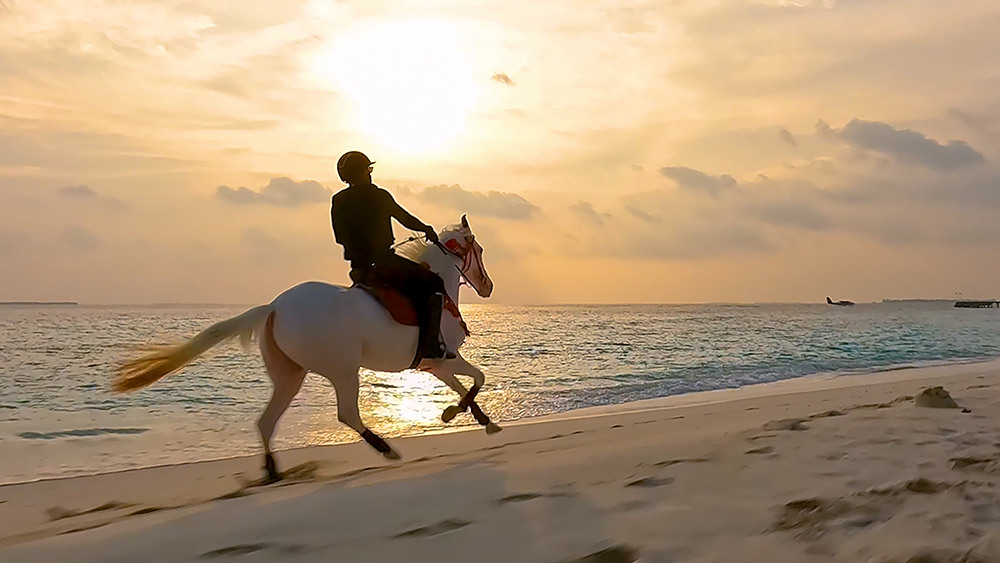 Andare a cavallo sulla spiaggia