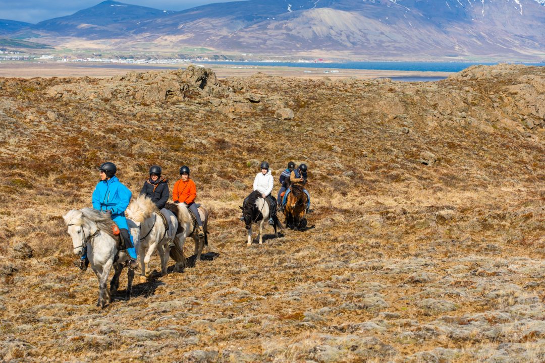 Cavalcate un cavallo islandese (tra paesaggi poetici e drammatici)
