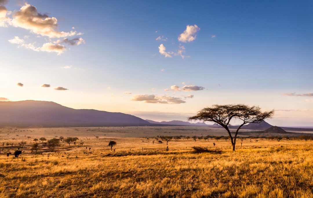 Dal Medio Oriente alla savana africana 