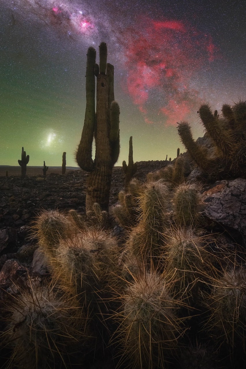  Milky Way Photographer of the Year