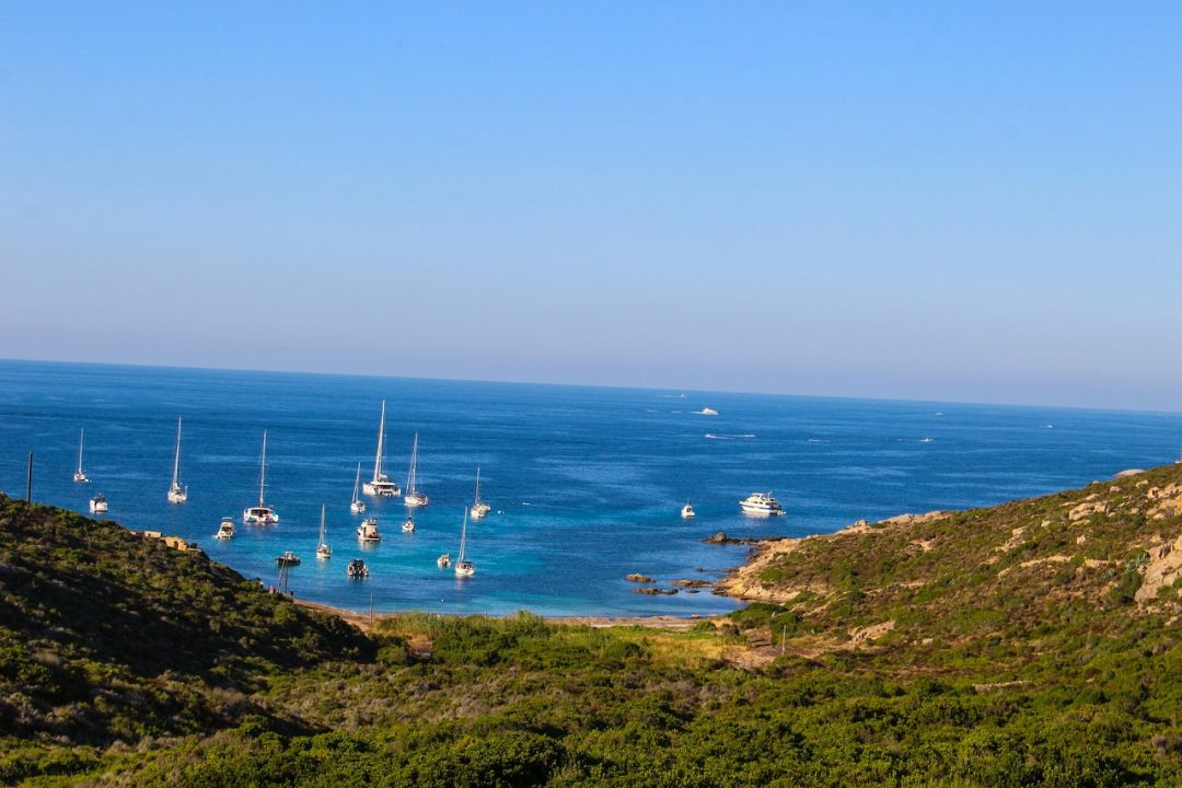 spiagge di Calvi Corsica