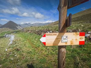 Cammini in Italia: cinque nuovi percorsi per mettersi in marcia nella natura