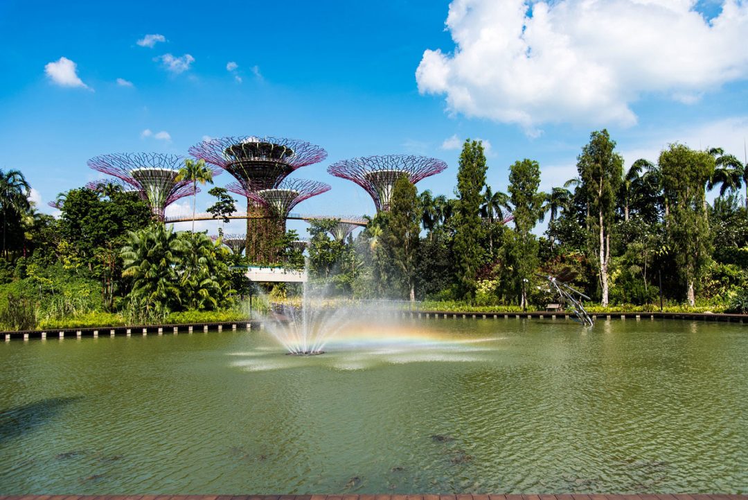 Gardens By the Bay, Singapore (Repubblica di Singapore)