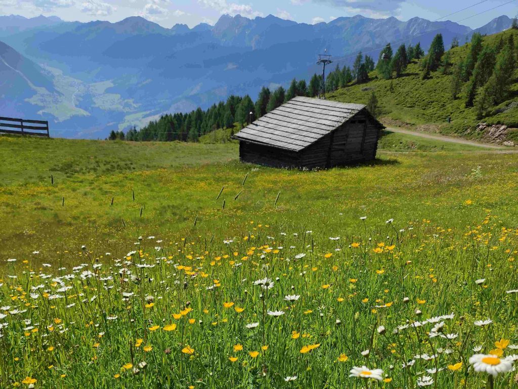 Parco Nazionale Alti Tauri, Osttirol, Austria